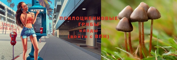 ешки Елабуга