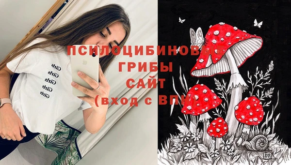 кокаин перу Заводоуковск