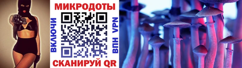 сколько стоит Сорск Галлюциногенные грибы Psilocybine cubensis